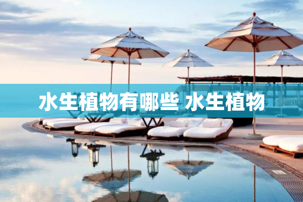 美嘉体育入口水生植物有哪些 水生植物(图1)